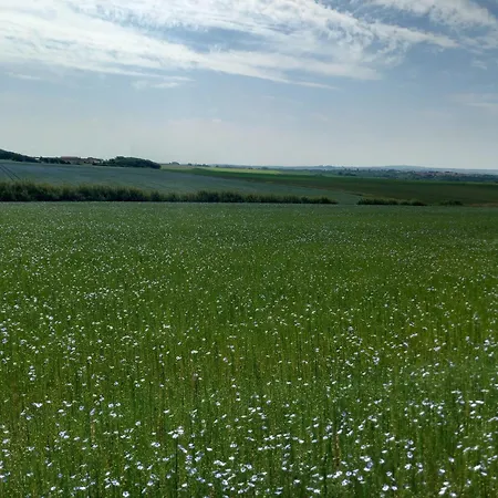 Frühstückspension La Ferme Des 4 Vents
