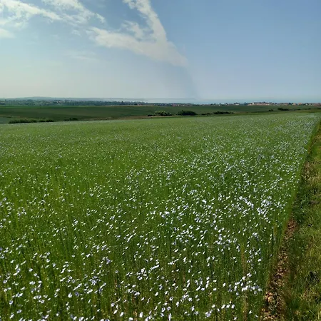 La Ferme Des 4 Vents Frühstückspension