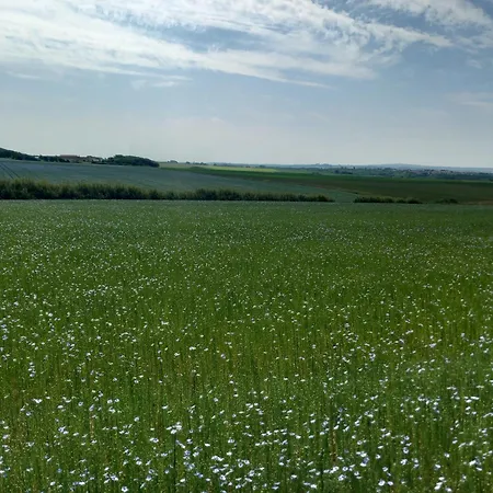 La Ferme Des 4 Vents 3* Audinghen