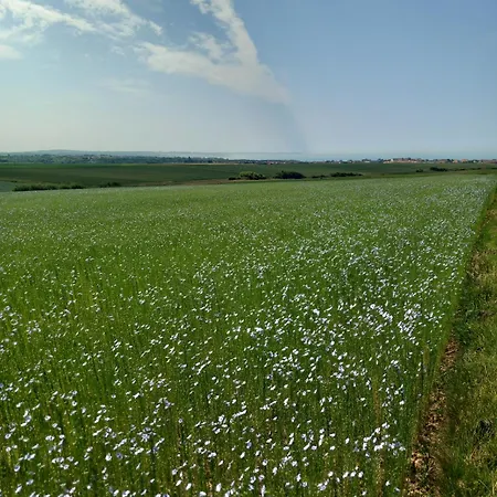 La Ferme Des 4 Vents Audinghen