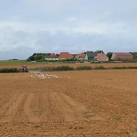 La Ferme Des 4 Vents Frühstückspension Audinghen
